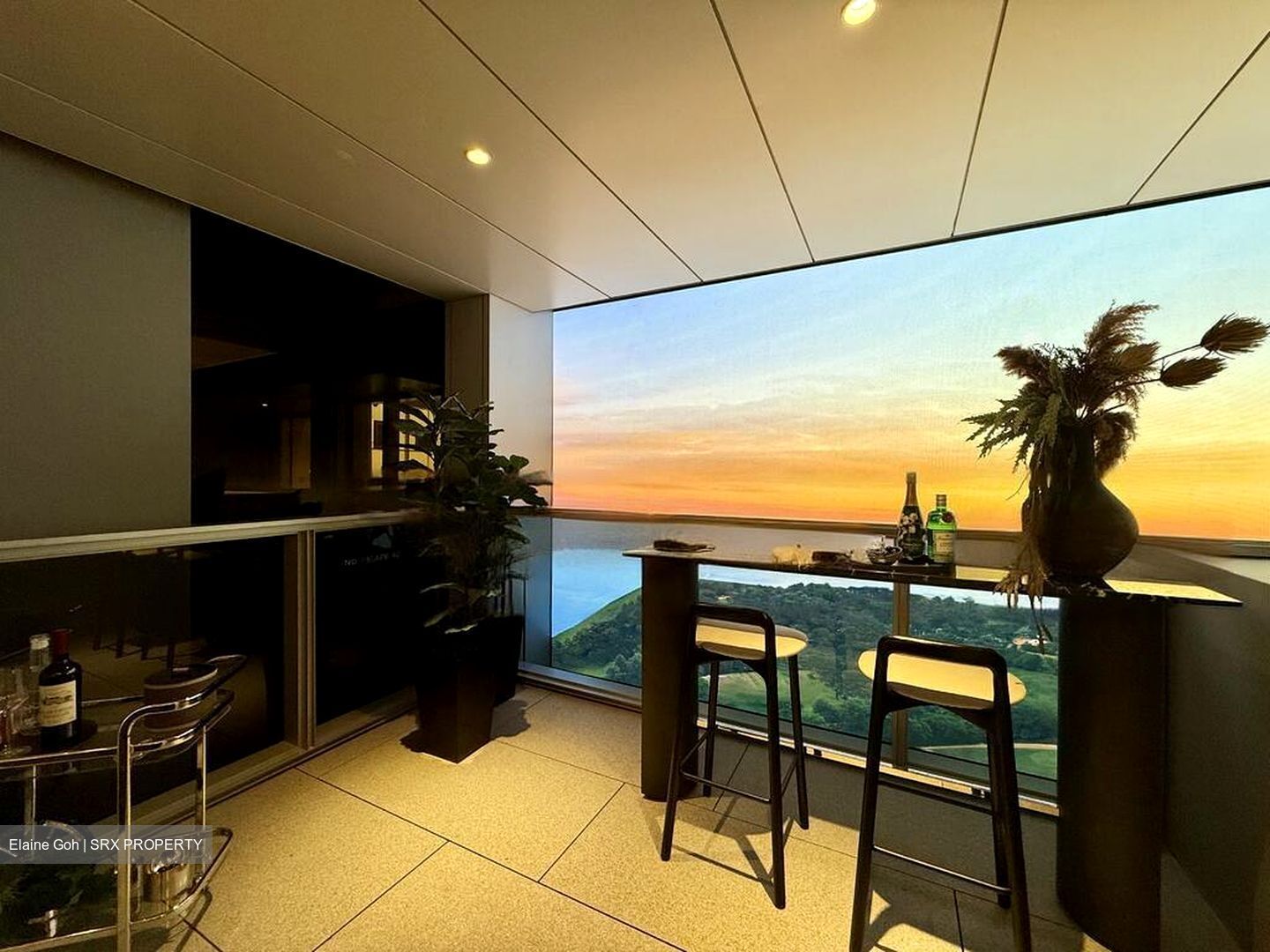 Marina View (D1), Condominium #460063151